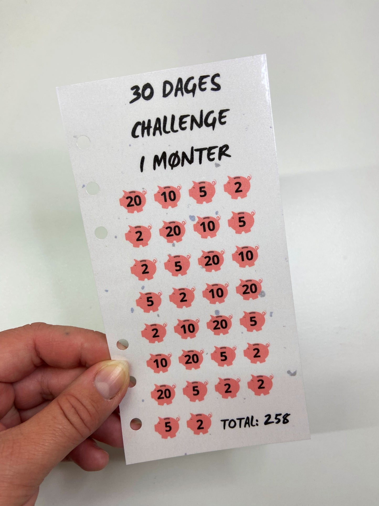 30 DAGE I MØNTER challenge